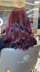 -潘多拉Hairsalon