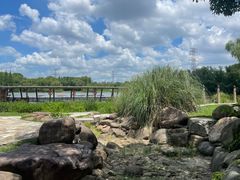 -昆山城市生态森林公园