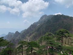 -临街徽菜馆·正宗黄山味