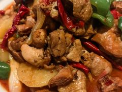 新疆大盘鸡-新疆兵团食府清真(马连道店)