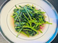 -茶人村·前滩江景雅宴(上海首店)