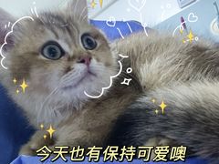 -纳吉亚猫专科动物医院·北北分院