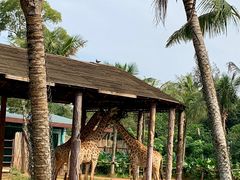 -海南热带野生动植物园