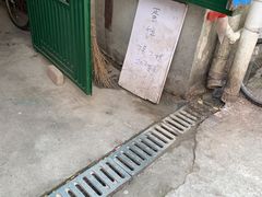 -水丰路鸡蛋饼