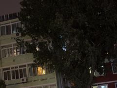 -No.DD戳子烧烤·江湖菜(北京总店)