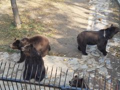 -石家庄市动物园