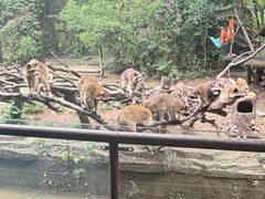 -宁波野生动物园