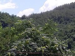 -雾灵西峰