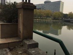 -上海市第一人民医院(松江南部)