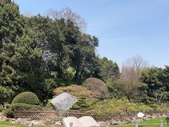 -中山公园