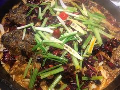 老板恋上鱼-老板恋上鱼(恒隆广场店)