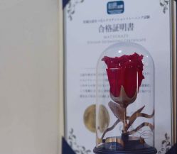 点击看大图 -赫本轻奢美颜中心