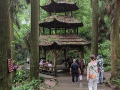 -青城山