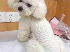 -联合动物医院(光谷诊疗中心)