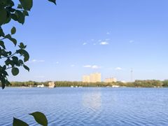 -大兴滨河森林公园