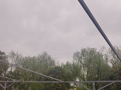 -名骏车业(园区星明店)