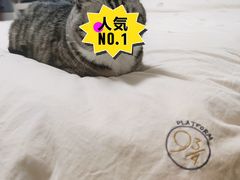 -BEAST野兽派(上海浦东嘉里城店)