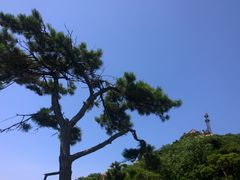 -鲁山国家森林公园