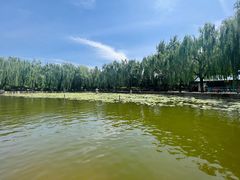 -团结湖公园