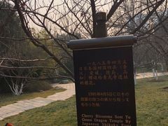 -西安青龙寺遗址景区