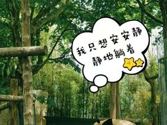 -上海野生动物园