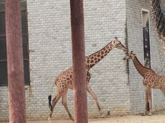 -辛玛王国游乐园