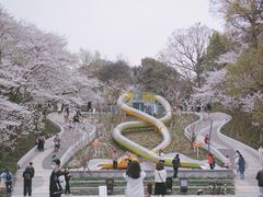 -杭州少年儿童公园