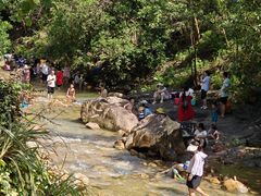 -广州白江湖森林公园