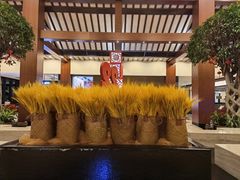-苏州环秀晓筑养生度假村