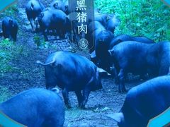 -刀板香·安徽菜(国购IFC店)