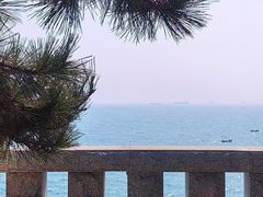 -小麦岛公园