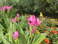 -上海佘山国家森林公园天马山园