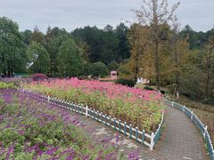 -铁山坪森林公园