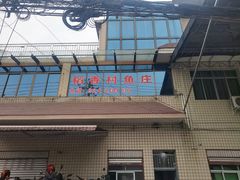 -稻香村鱼庄