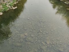 -老虎潭水库