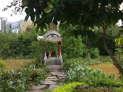 -金山植物公园