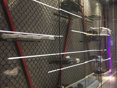 -威尔仕健身会所(古北1699店)