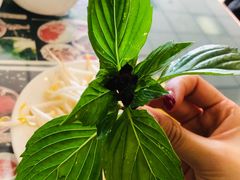 -鹏牛肉河粉