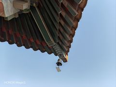 -西安大兴善寺