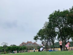 -顺峰山公园