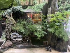 -竹吟山房