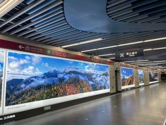 -大望路(地铁站)