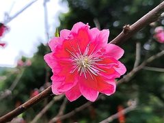 -桃花涧