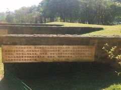 -王借岗森林公园