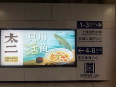 -东方体育中心(地铁站)