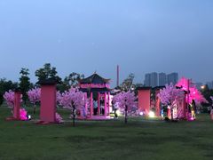 -桂溪生态公园