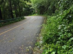 -莫干山风景区
