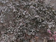 -国御温泉度假小镇