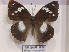 -太奥幻太奇海洋馆
