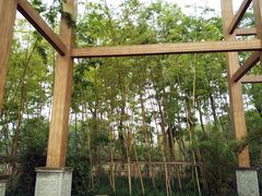 -桤木河湿地公园